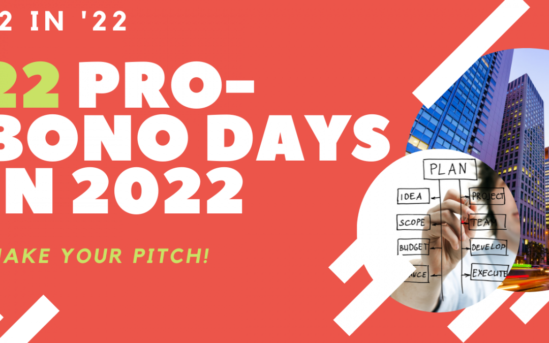 22 days of pro bono in 2022