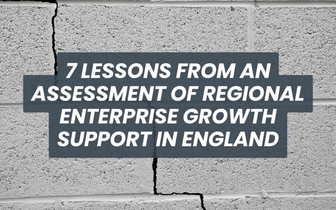 7 Lessons for Enterprise and FDI Support from a Programme Review