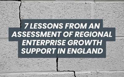 7 Lessons for Enterprise and FDI Support from a Programme Review